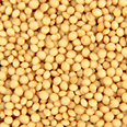 amaranth
