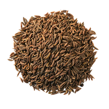 cumin Seed