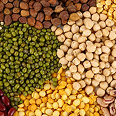 pulses